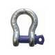 Screw Pin Anchor Shackle 1/4