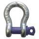 Screw Pin Anchor Shackle 3/8"