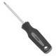 SCREWDRIVER STAR T10X3IN