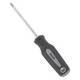 SCREWDRIVER STAR T20X4IN